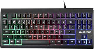 Lumsburry Rainbow LED Backlit 87 Keys Gaming Keyboard, Compact Keyboard with 12 Multimedia Shortcut Keys USB Wired Keyboar...